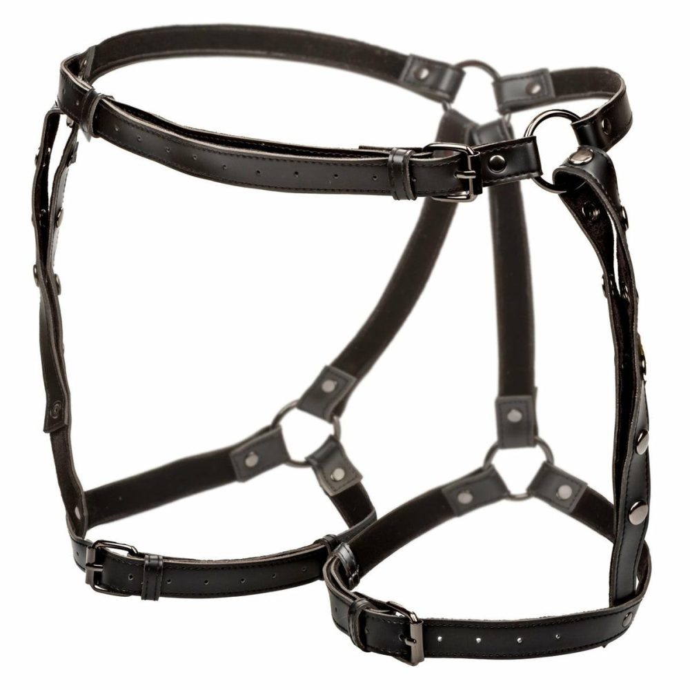 Euphoria Thigh Harness Plus Size  |  Fetish