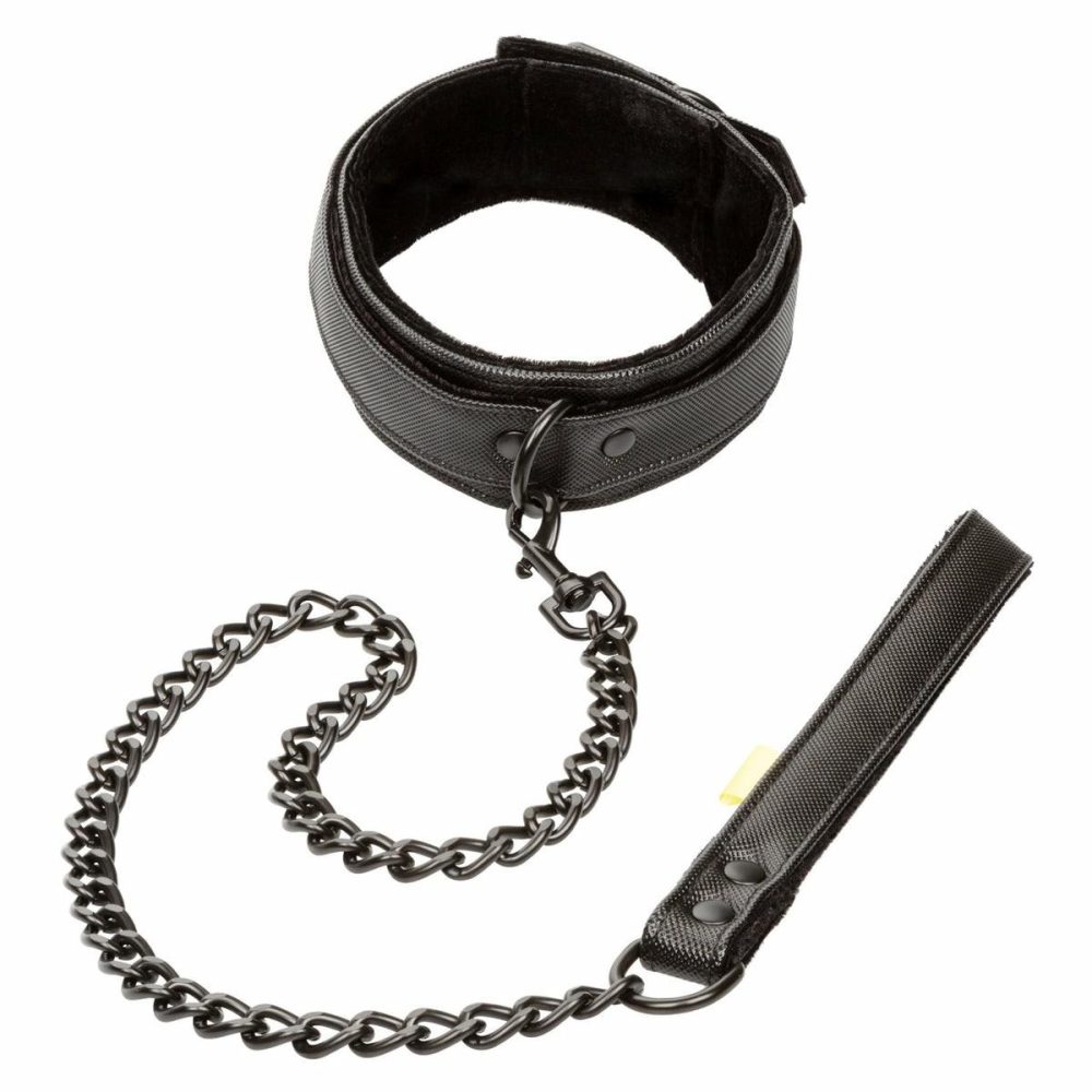 Boundless Collar & Leash  |  Fetish