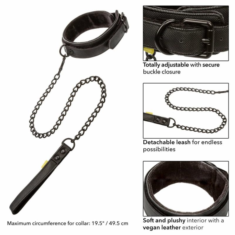 Boundless Collar & Leash  |  Fetish