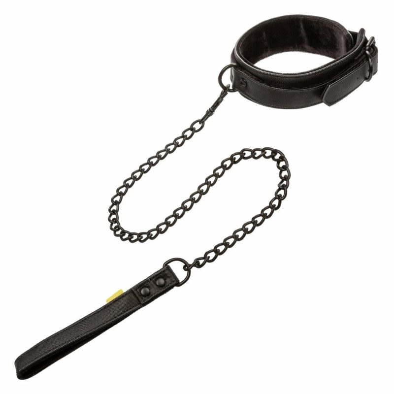 Boundless Collar & Leash  |  Fetish